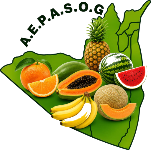 Logo AEPASOG